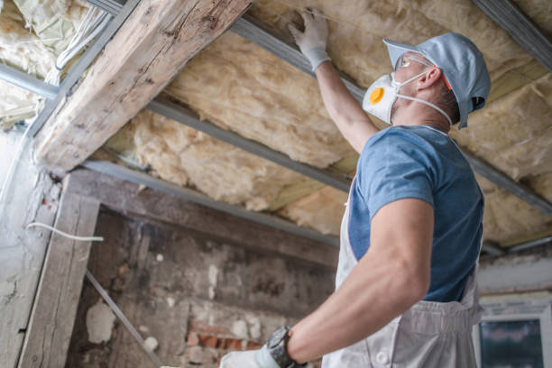 Best Blown-in Insulation in Rose Hills, CA