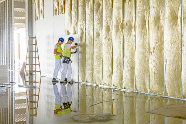 Best Geographic-Specific Insulation Services in Rose Hills, CA